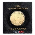 24k Gold Maple Leaf Coin in Assay Card