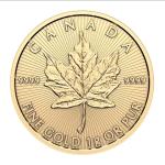 24k Gold Maple Leaf Coin in Assay Card