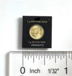 24k Gold Maple Leaf Coin in Assay Card