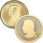 Canada Gold Maple Leaf Coin - 1/10 oz .9999 Fine