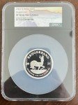 2021 South Africa 2 oz Silver Krugerrand Coin
