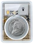 2025 South Africa 1oz Silver Krugerrand Coin