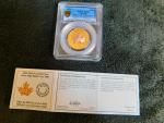 2025 Canada Gold Maple Leaf Coin PR70 First Strike