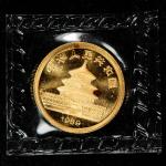 1989 China 5 Yuan Gold Panda Coin 1/20 oz