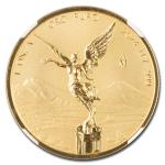2024 1 oz Reverse Proof Gold Libertad Coin