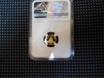 1989-P Chinese Proof Gold Panda 1/20 Oz