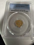 1874 Indian Princess Gold Dollar Coin MS 62