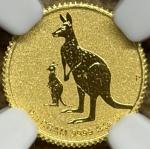 2020 P Australian Mini Roo 1/2 Gram Gold Coin