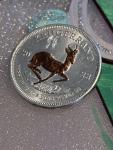 2022 South Africa 1 oz Silver Krugerrand Coin