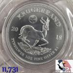 2018 Silver Krugerrand Great Wall Privy Coin