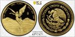 2022 Gold Mexican Libertad Proof Coin PR70DCAM