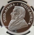 2023 South Africa Krugerrand Buffalo Privy Coin
