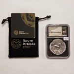 2017 1 oz Silver Krugerrand - 50th Anniversary