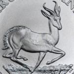 99.9% Pure Silver Krugerrand Coin with COA