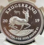 2019 South African Krugerrand Lion Privy Coin