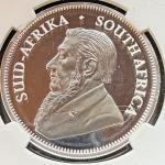 2019 South African Krugerrand Lion Privy Coin