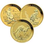 Australian Gold Kangaroo Coin - 1/2 oz