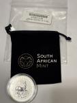 2017 South Africa 1 Oz Silver Krugerrand Coin