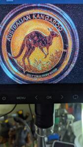 2017 1/4oz Australian Kangaroo Gold Coin