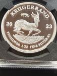 2023 South African Krugerrand Leopard Privy Coin