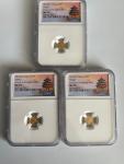 2019 Chinese Gold Panda G10Y NGC MS70 Set