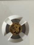 2019 Chinese Gold Panda G10Y NGC MS70 Set