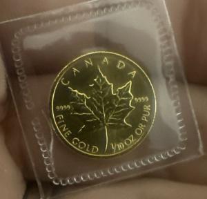 2005 Canadian 1/10 oz Gold Maple Leaf Coin