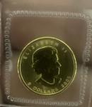 2005 Canadian 1/10 oz Gold Maple Leaf Coin