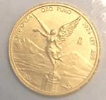 2024 Mexico 24k Gold Libertad Coin .9999