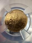 2009 $5 Canada Maple Leaf Gold Coin MS69