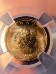 2009 $5 Canada Maple Leaf Gold Coin MS69