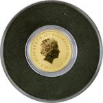 2016 Australian Kangaroo 1/2 Gram Gold Coin