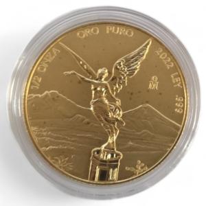 2022 Mexico Libertad 1/2 oz Gold Coin