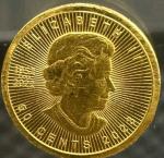 2023 Canada 1 Gram Gold Maple Leaf Coin