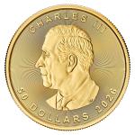 2026 1 oz Canadian Gold Maple Leaf Coin