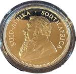 2019 South Africa Proof Silver Krugerrand Coin