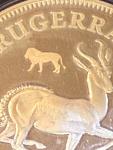 2022 South Africa Krugerrand Lion Privy Coin