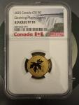 2025 Canada 1/4 Oz Gold Maple Leaf Coin