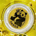 Chinese Panda Gold Coin 1/1000 Oz 2026