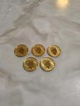 2023 1/2 oz Gold Britannia Proof Coins Set