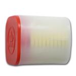 2021 Canada 1 oz Gold Maple Leaf Coin