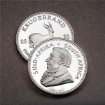 2021 1oz Silver South Africa Krugerrand Wildlife Coin