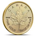 2024 Canadian Gold Maple Leaf Coin - 1/20 oz