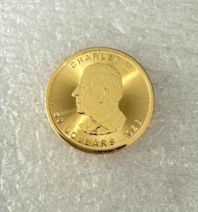 2025 1 oz Canadian Gold Maple Leaf Coin