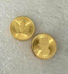 2025 1 oz Canadian Gold Maple Leaf Coin