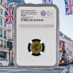 2023 U.K. King Charles III Gold Britannia Coin