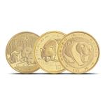 1/10 oz Chinese Gold Panda Coin - Random Year