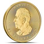 2025 1 oz Canadian Gold Maple Leaf Coin