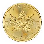 2025 Canada $50 Gold Maple Leaf Coin 1 oz