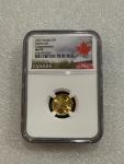 2022 Canadian Gold Maple Leaf Coin 1/10 oz